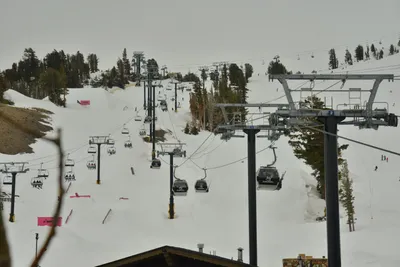 DSC_6739 (Large).JPG